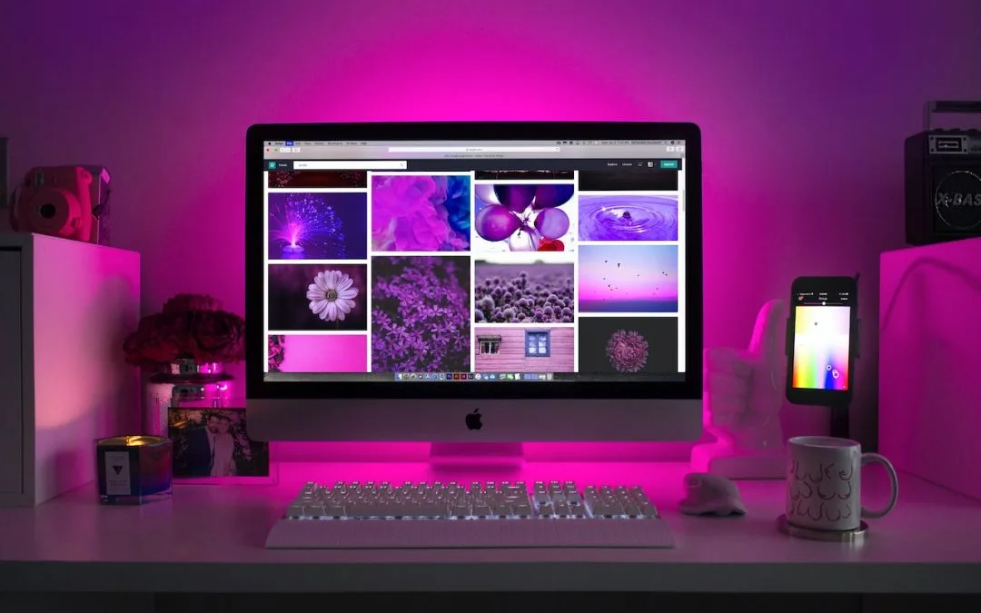 Why you should use the Divi Theme